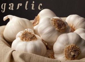Garlic