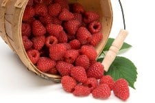 Raspberries_SM