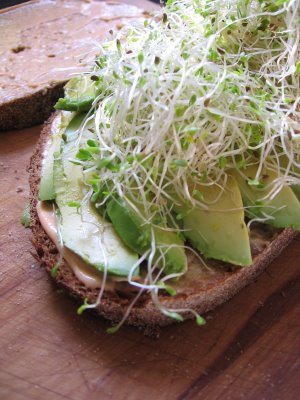 avocado-sprout-sandwich