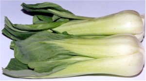 Bok_Choy Bok Choy