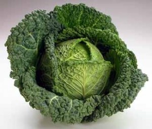 savoy-cabbage Savoy Cabbage