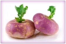 turnips-feature