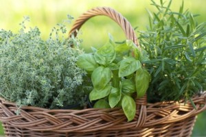 Herbs