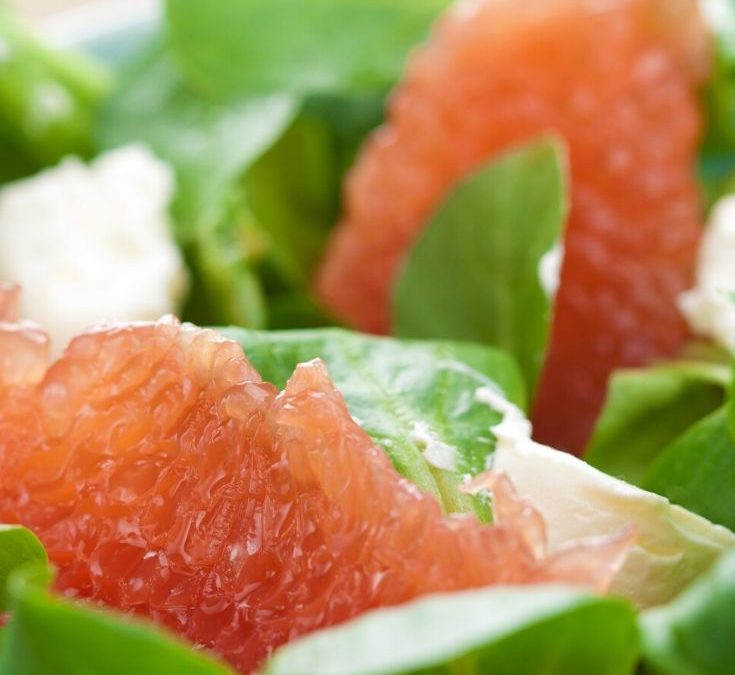 Turkey Citrus Salad with Poppy Seed Dressing