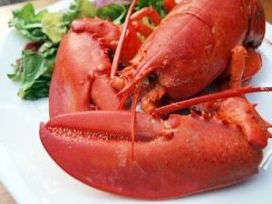 lobster