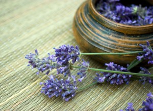 Lavender, How to cook with Lavender, Organic Lavender