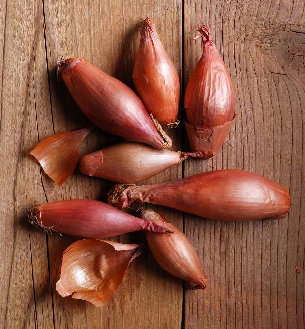 Shallot Secrets (shhh) Saving Dinner