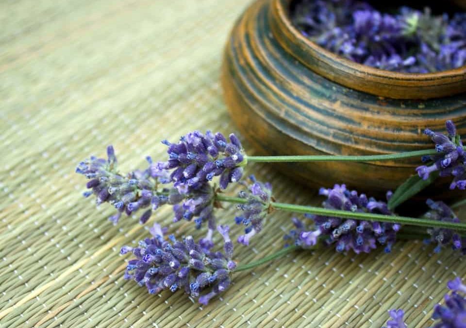 Lavender Roast Chicken