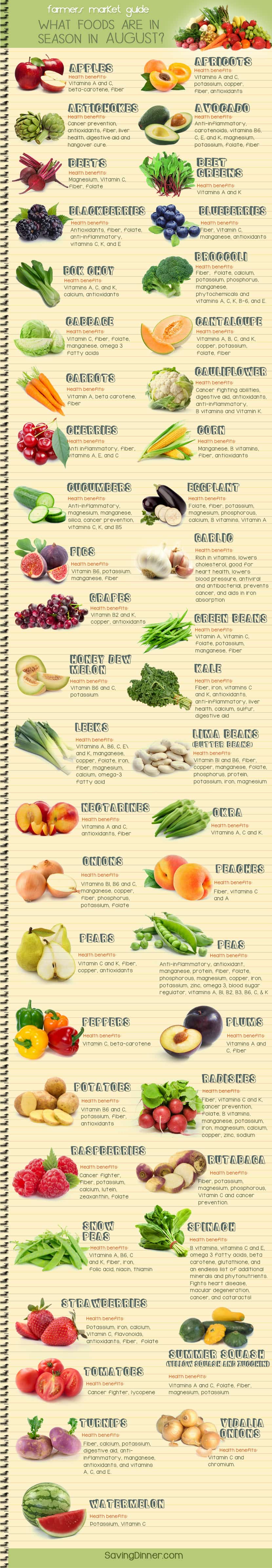 August Farmer's Market Guide Infographic