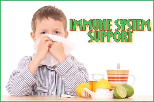 Immune Support