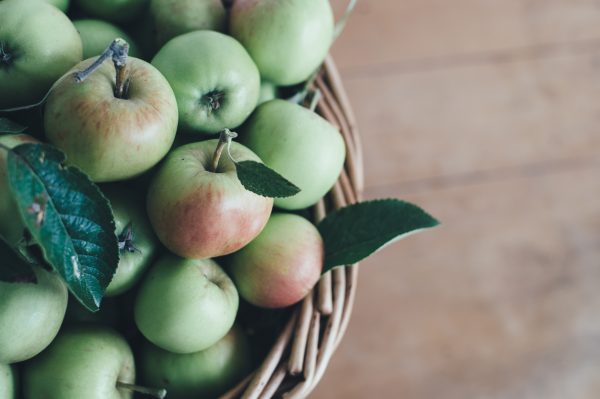 annie-spratt-418638-unsplash