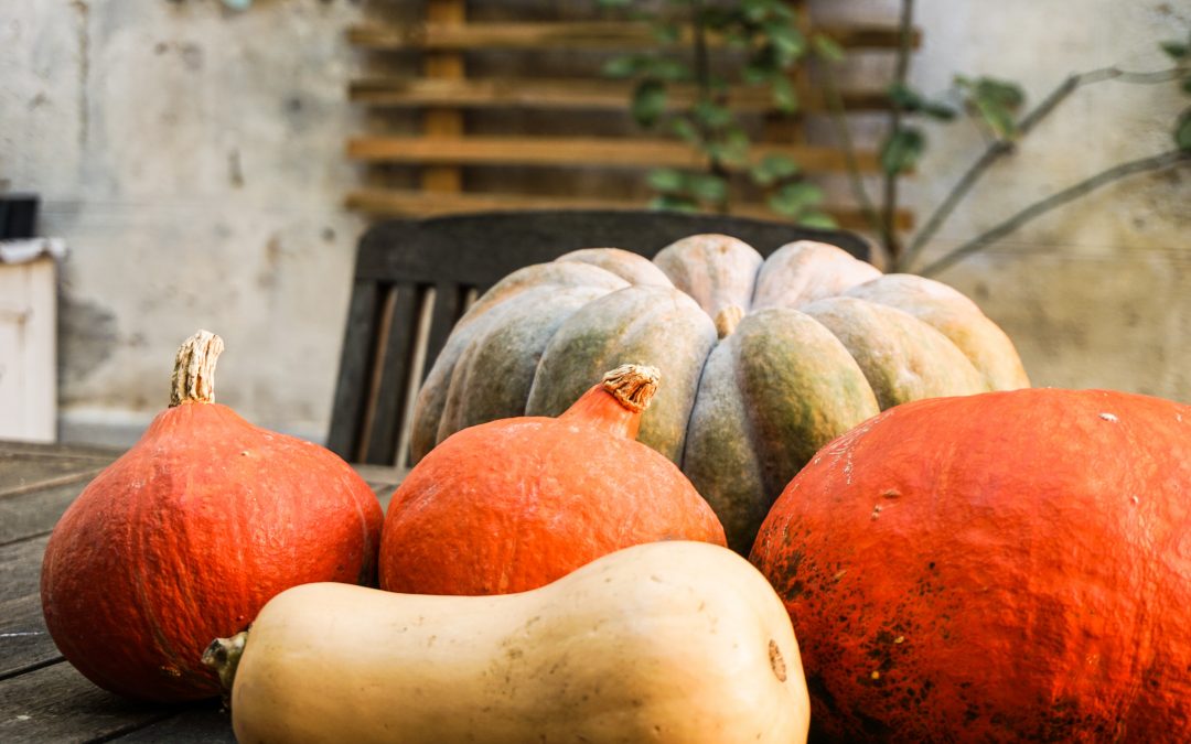 Pumpkin, Parsnip, and Squash Beef Stew