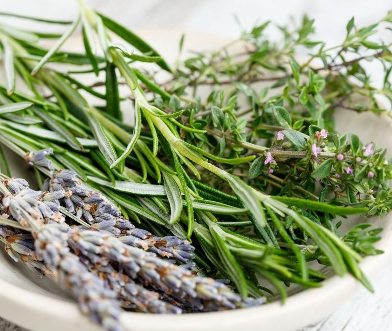 Nightshade-Free Poultry Seasoning