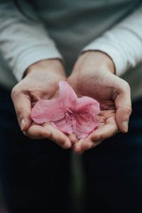 Close up of woman wearing long sleeves holding pink flower in her cupped hands
