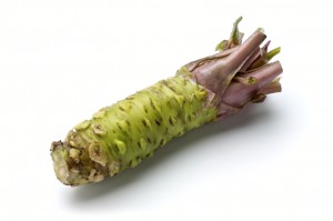 Wasabi root